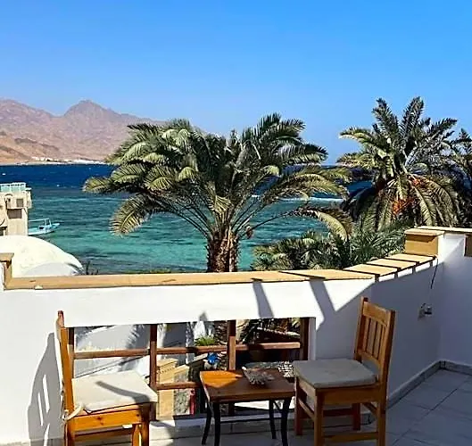Neom - - - - - - - - - - - Your New In With Private Szálloda